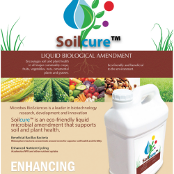 Soilcure technical sheet