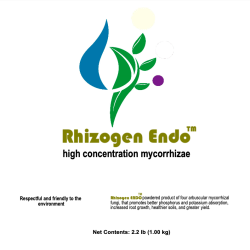 Rhizogen Endo front label