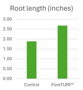 Root lenght - foreTURF vs control